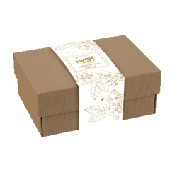 Obwoluta karton eko box_B2B standard_oz_2025_WIZZ.png