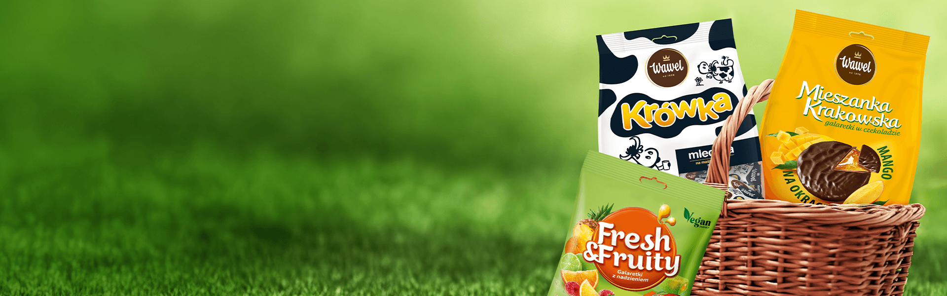 1920x600 (3) (1).png