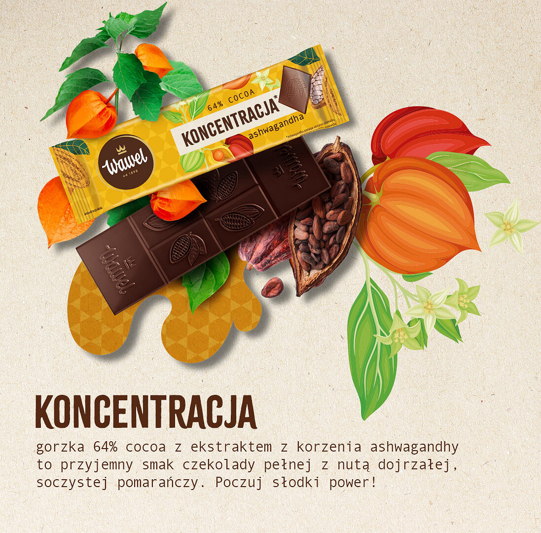 KONCENTRACJA__final_2 (1).jpg [551.14 KB]